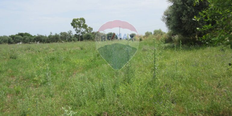 20250522174753-951064-18