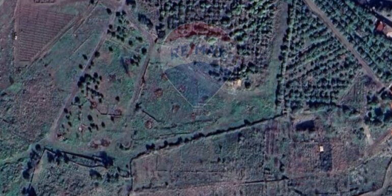 20250528124550-952049-2