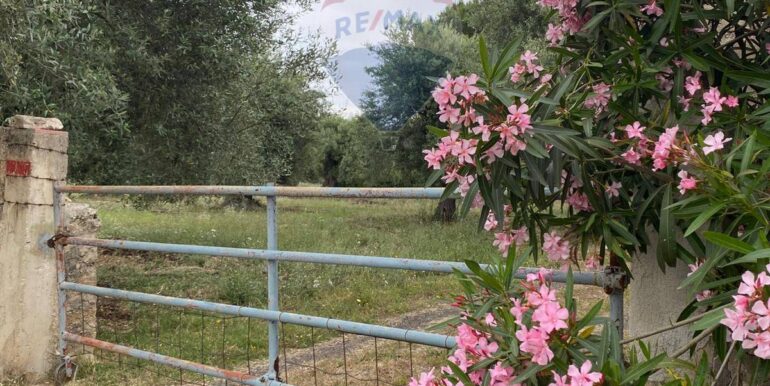 20250528175552-951064-29