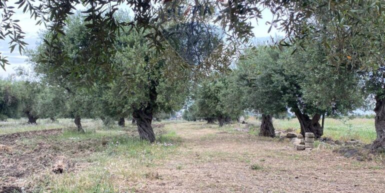 20250528175555-951064-30