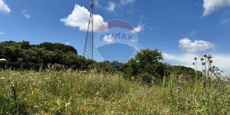 20250529112953-952342-5