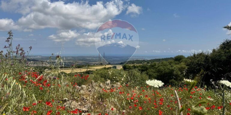 20250529112956-952342-7