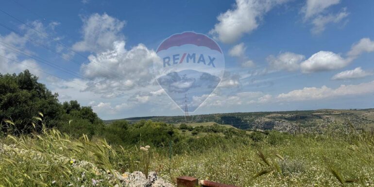 20250529113002-952342-9