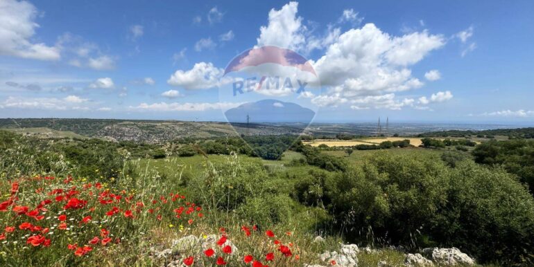 20250529113004-952342-10