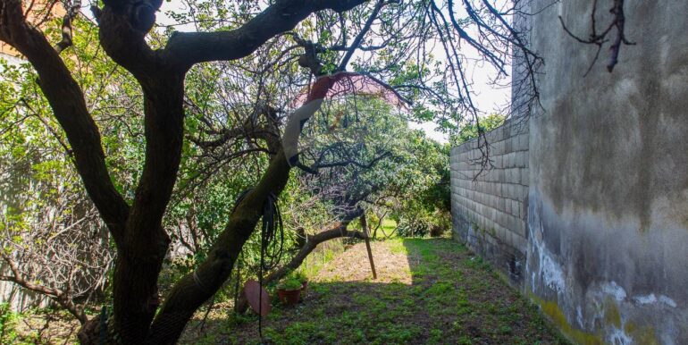 20250603120129-953581-5