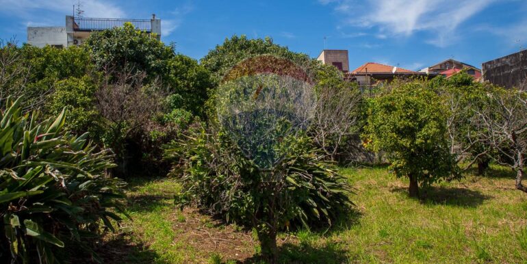 20250603120151-953581-8