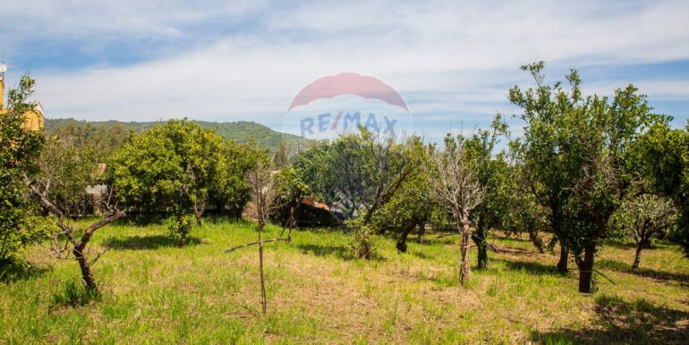 20250603120156-953581-9