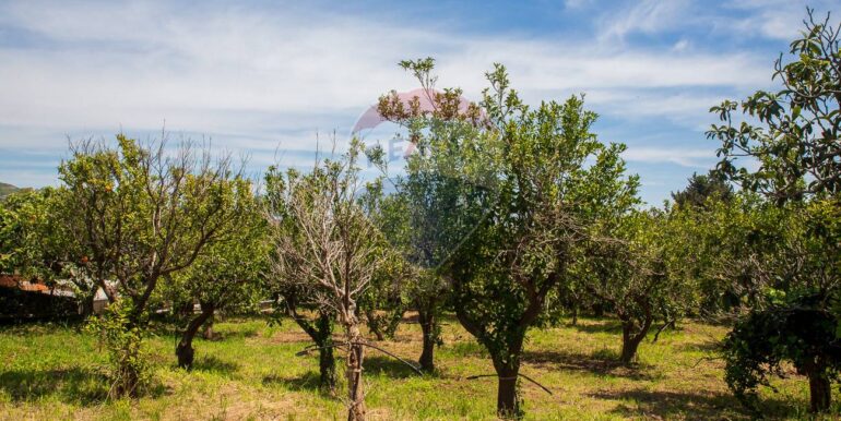 20250603120201-953581-10