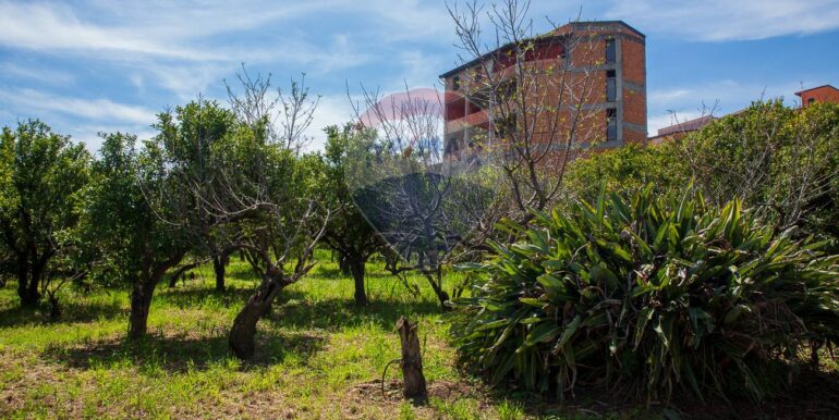 20250603120207-953581-11