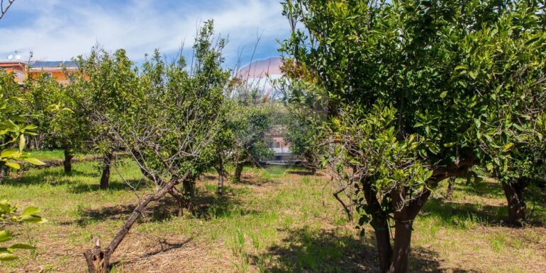 20250603120213-953581-12