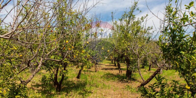 20250603120219-953581-13