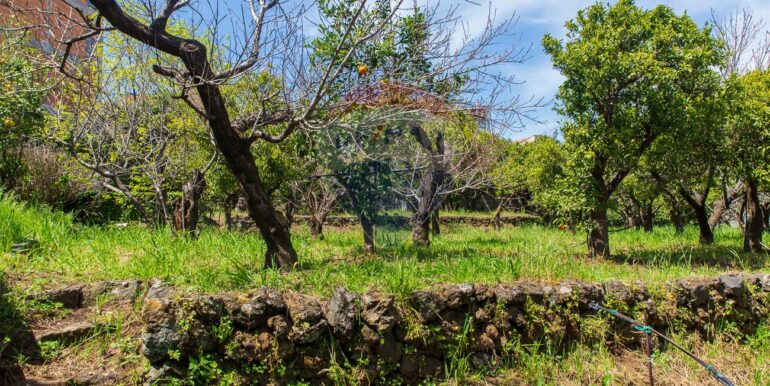 20250603120229-953581-14