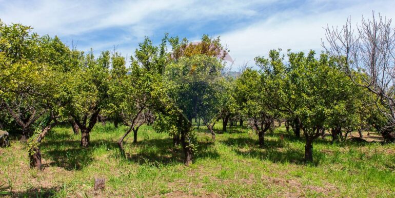 20250603120237-953581-15