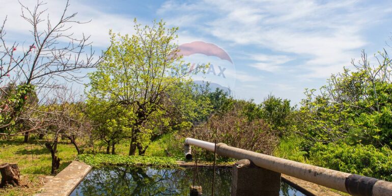 20250603120251-953581-17