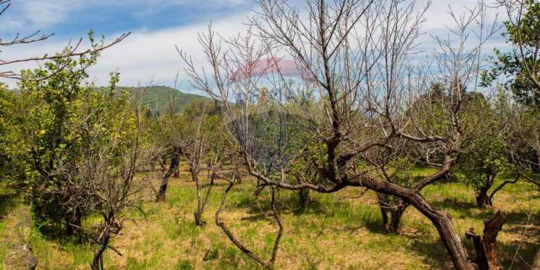 20250603120258-953581-18