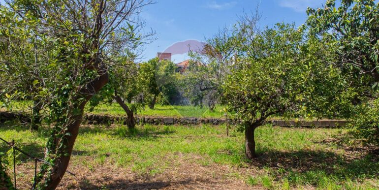 20250603120317-953581-20