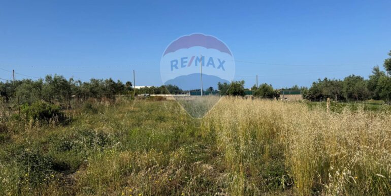 20250609103804-956192-11