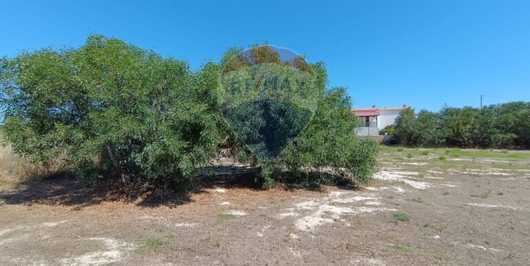 20250610100819-957461-9