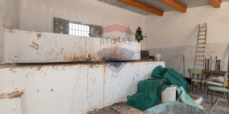 20250610122729-957531-14