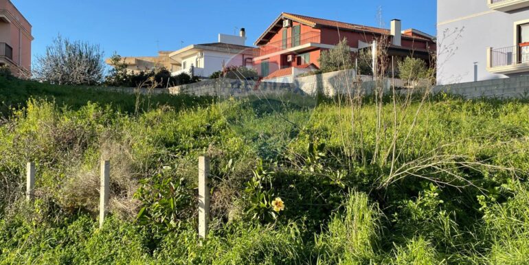 20250611173549-957916-6