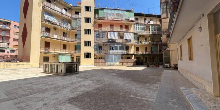 20250616113856-958812-6