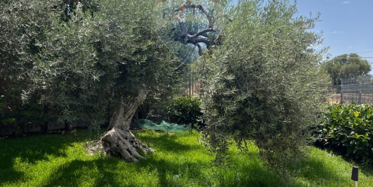 20250616145758-958915-2