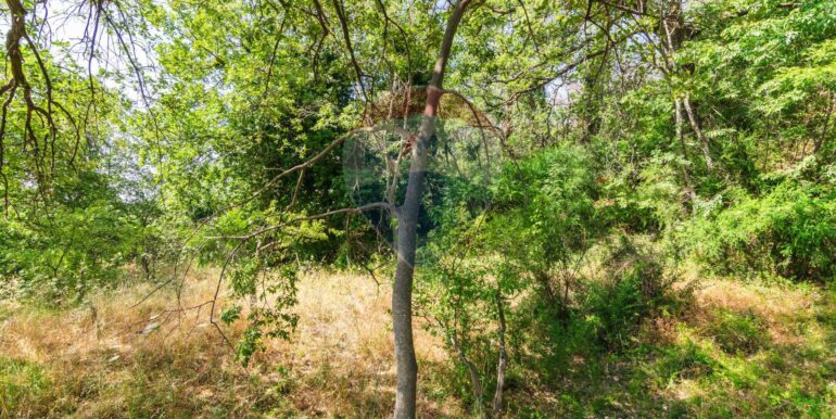 20250618192236-959798-1