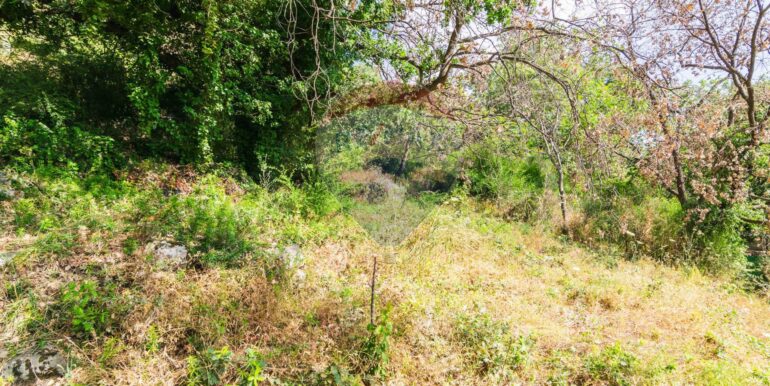 20250618192243-959798-2