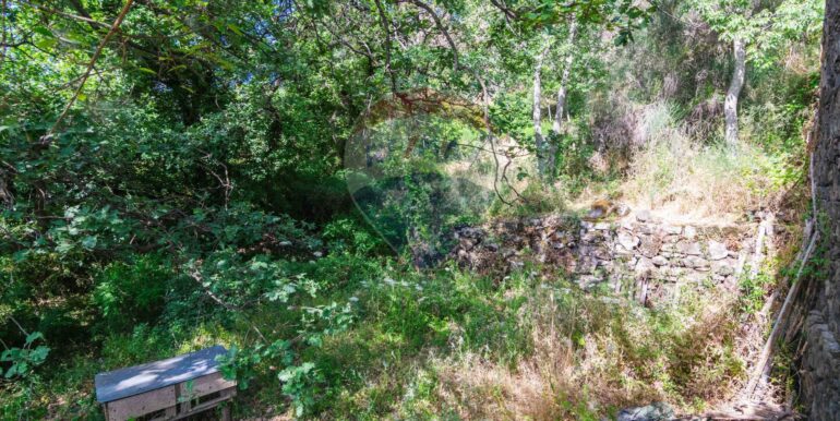 20250618192253-959798-3