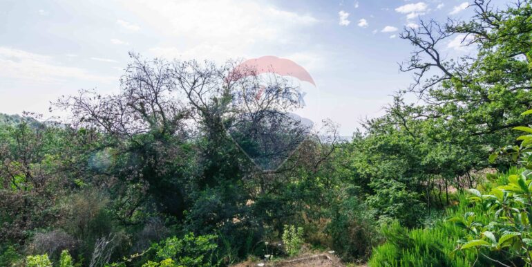 20250618192306-959798-5