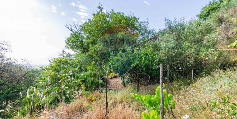 20250618192318-959798-7