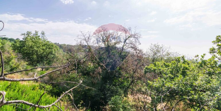 20250618192336-959798-10