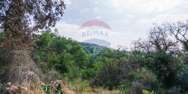 20250618192349-959798-12