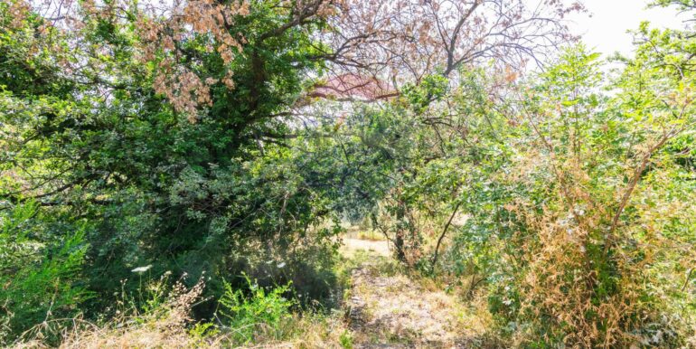 20250618192355-959798-13