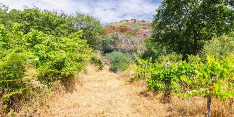 20250618192409-959798-15