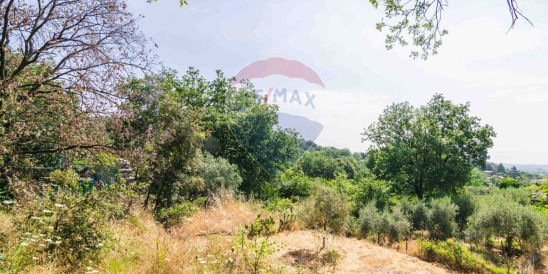 20250618192416-959798-16