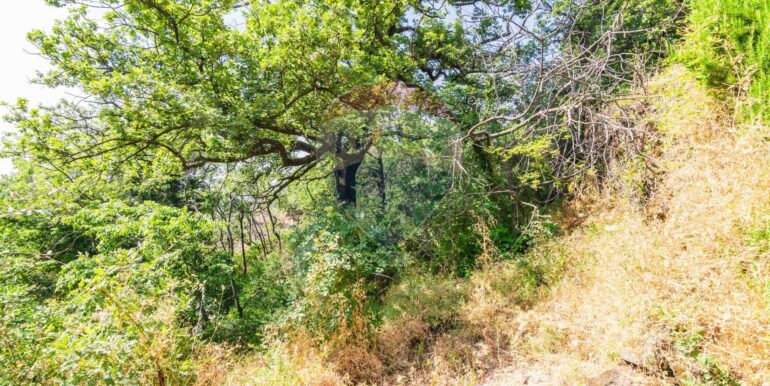 20250618192423-959798-17