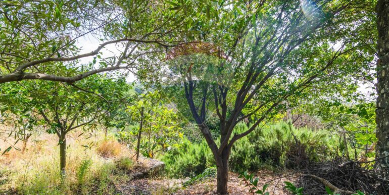 20250618192432-959798-18