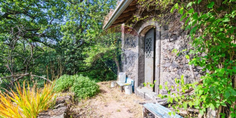 20250618192452-959798-20