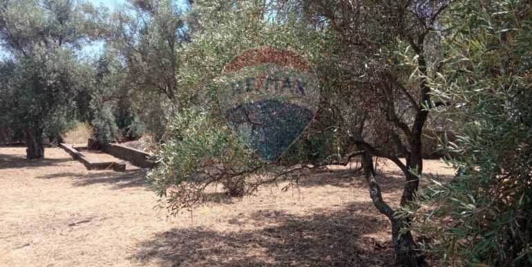 20250624163026-961380-6