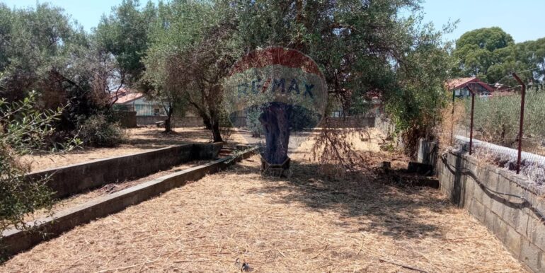 20250624163033-961380-9