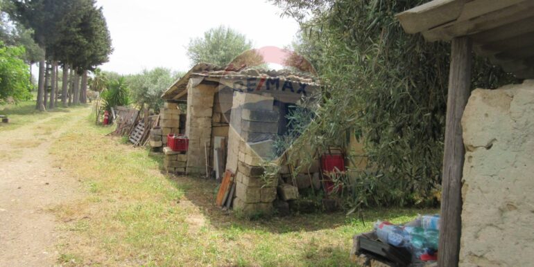 2025062481937-959999-1