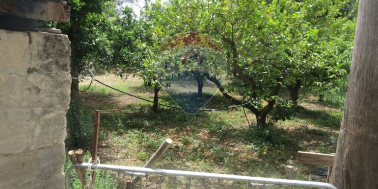 2025062481942-959999-3