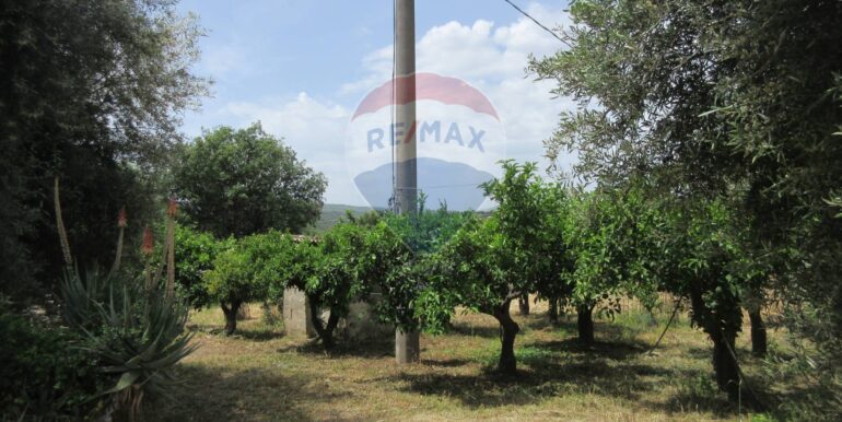 2025062481945-959999-4