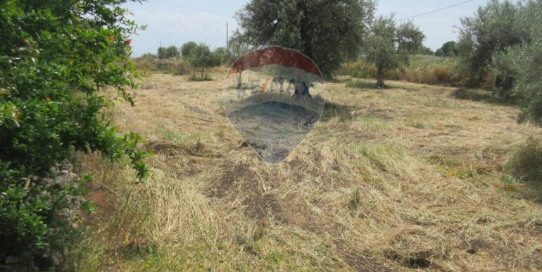 2025062481950-959999-6