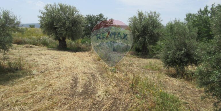 2025062481952-959999-7