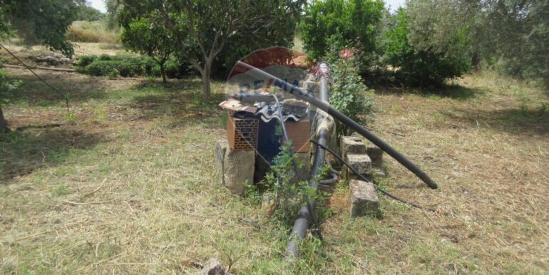 2025062481954-959999-8