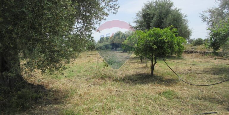 2025062481957-959999-9