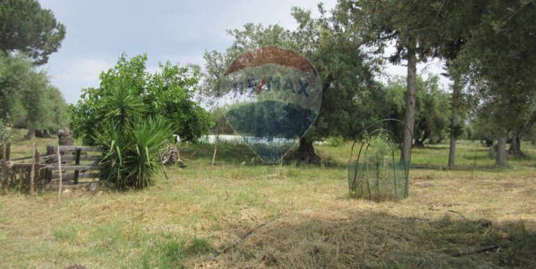 2025062482000-959999-10