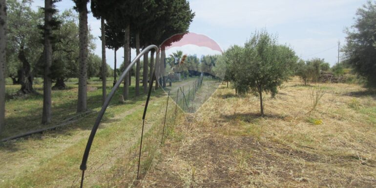 2025062482002-959999-11